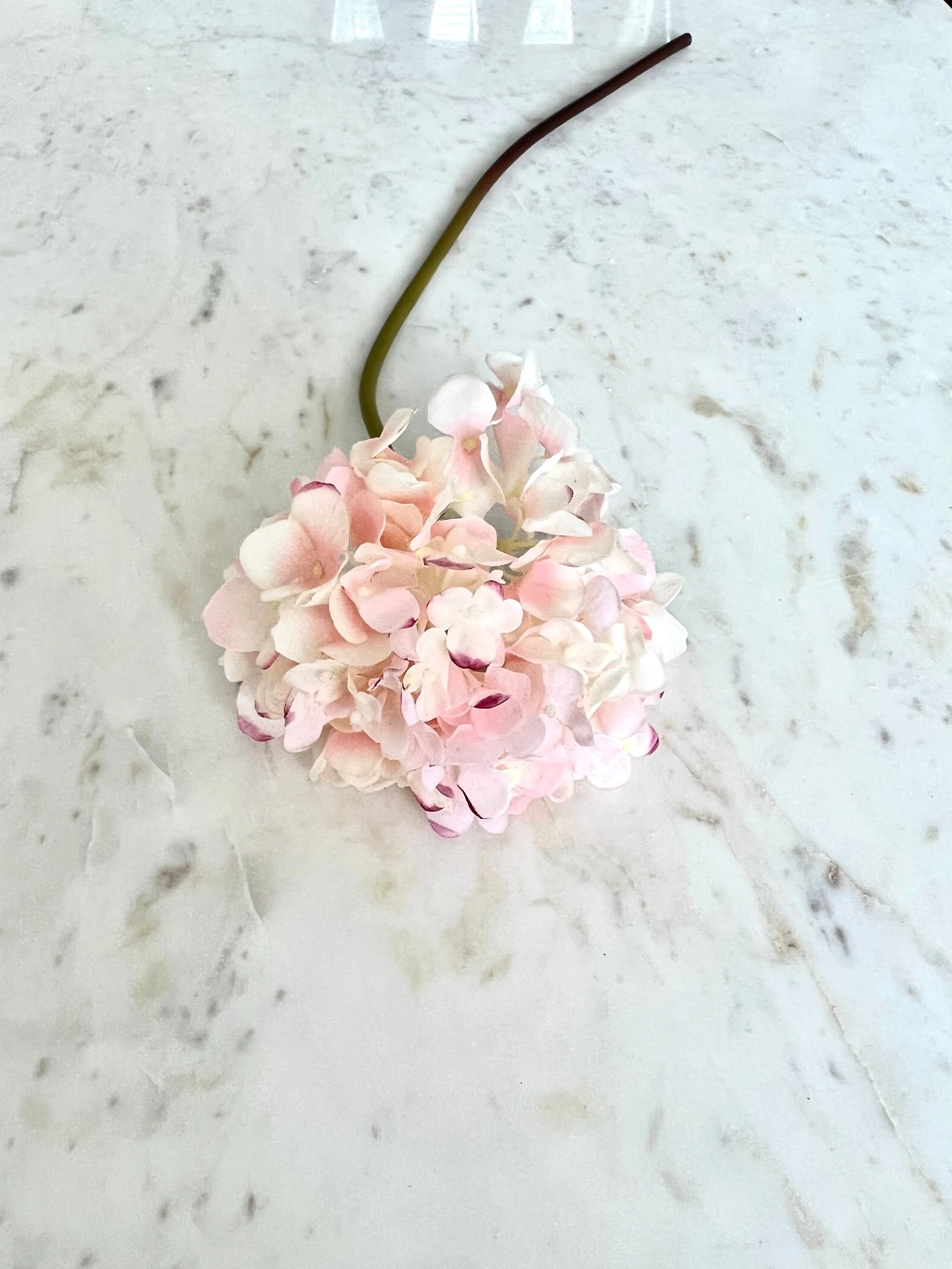 Just Cut Garden Hydrangea Stem (2 Colors)