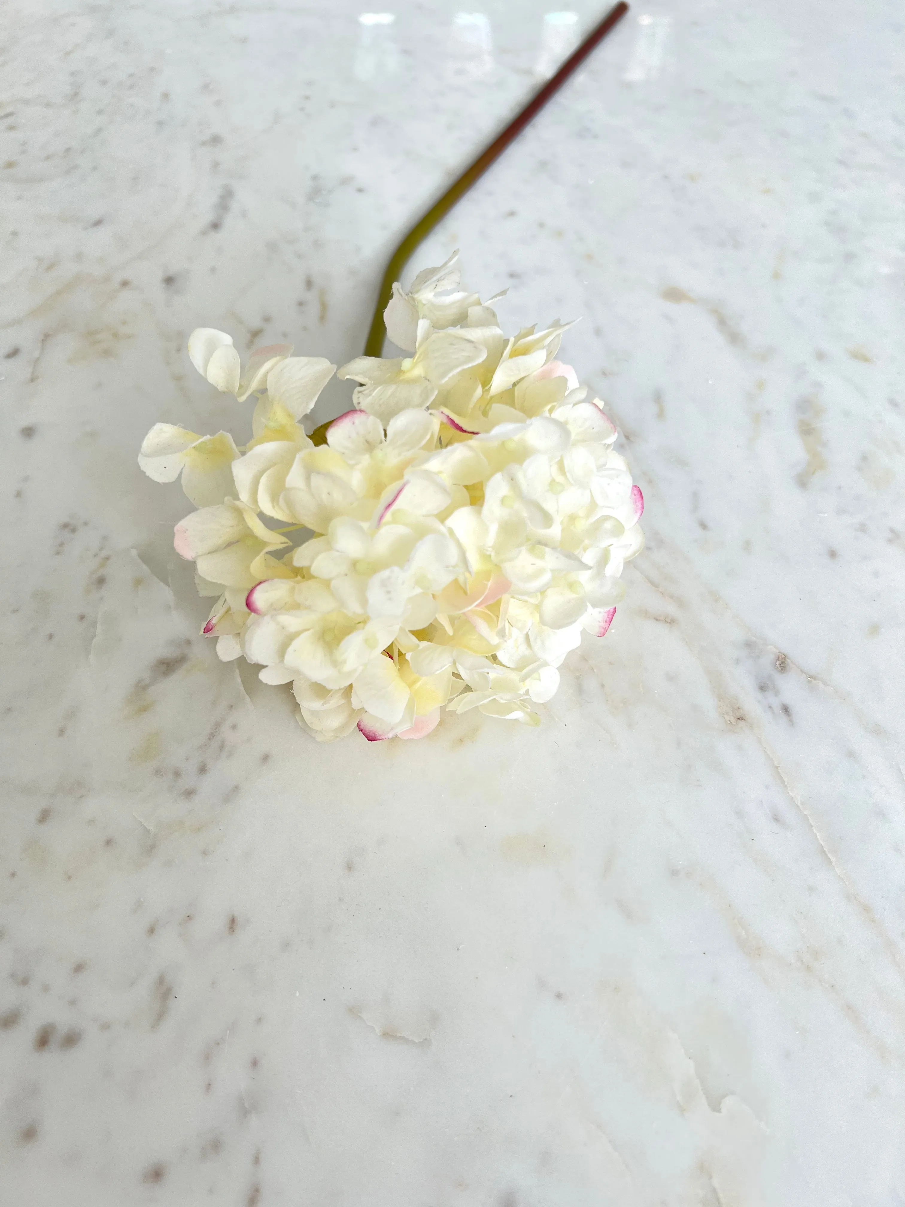 Just Cut Garden Hydrangea Stem (2 Colors)