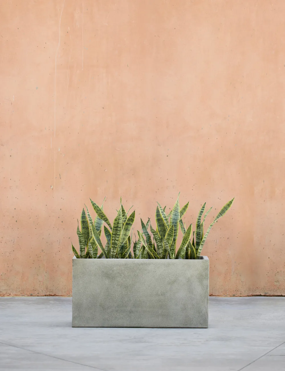 Metro Box Planters by Campania International